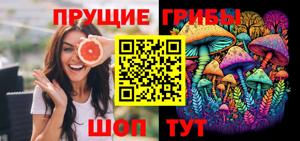 Сафоново  как найти наркотики  Вход с VPN  Галлюциногенные грибы Psilocybine cubensis 